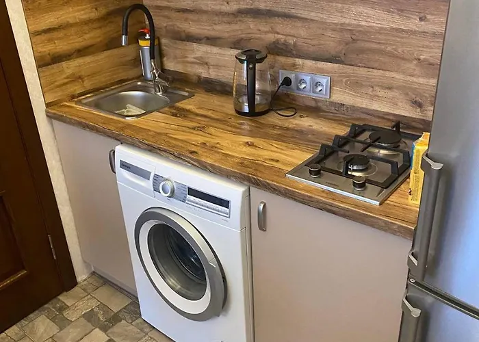 на вулиці залізняка - бічна вулиці антоновича Apartamento Lviv